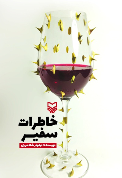 خاطرات سفیر